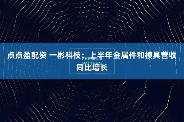 点点盈配资 一彬科技：上半年金属件和模具营收同比增长