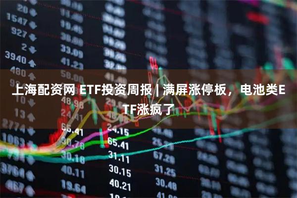 上海配资网 ETF投资周报 | 满屏涨停板,电池类ETF涨疯了